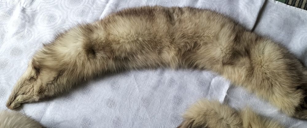 Zestaw - lis biały naturalny