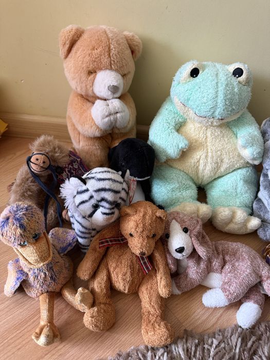 Ty ту ведмідь верблюд жаба мішка качка