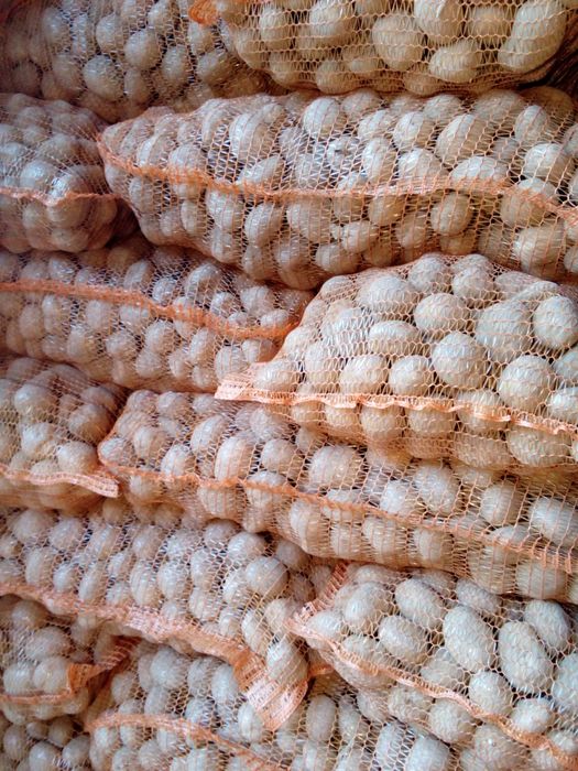 Sprzedam ziemniaki Gala, wielkość 35-55