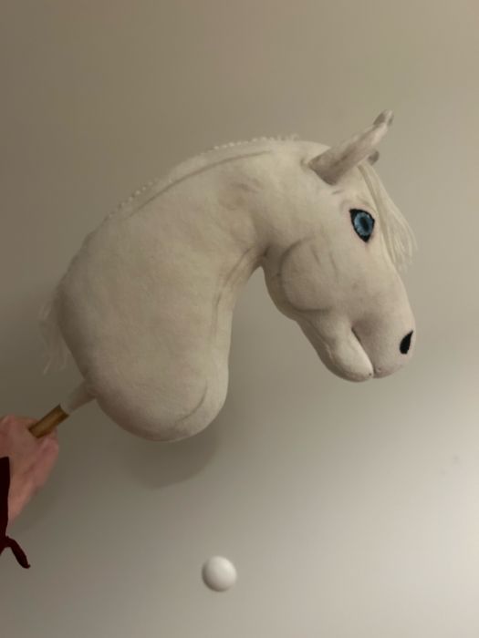 Śliczny hobbt horse