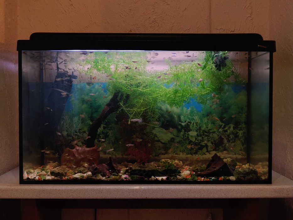 Akwarium 110l ( szkło + pokrywka )