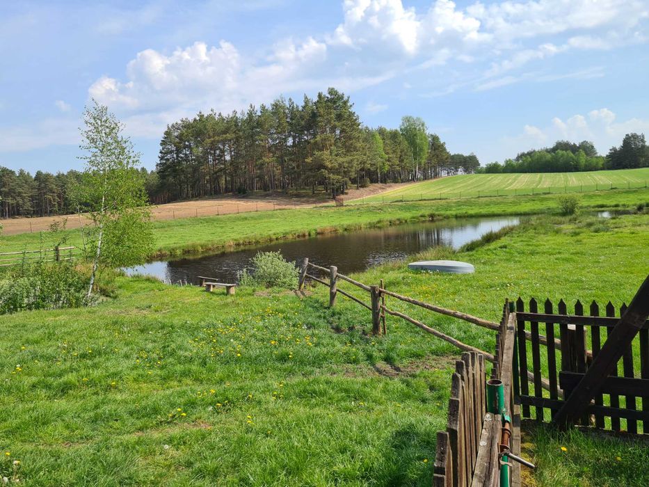 Gospodarstwo Agroturystyczne u Stoltmanów