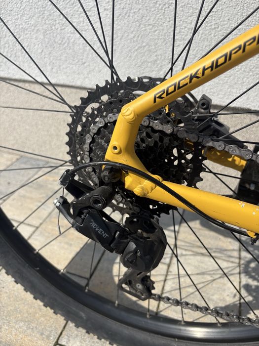 Rower Specialized Rockhopper