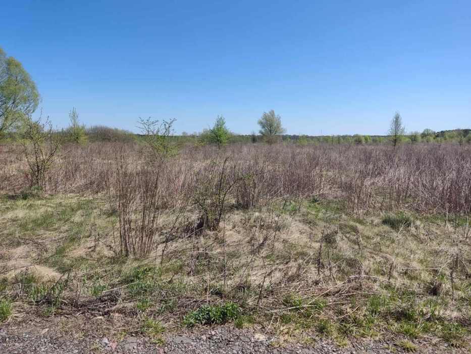 Продається ділянка під забудову, біля лісу і озер.