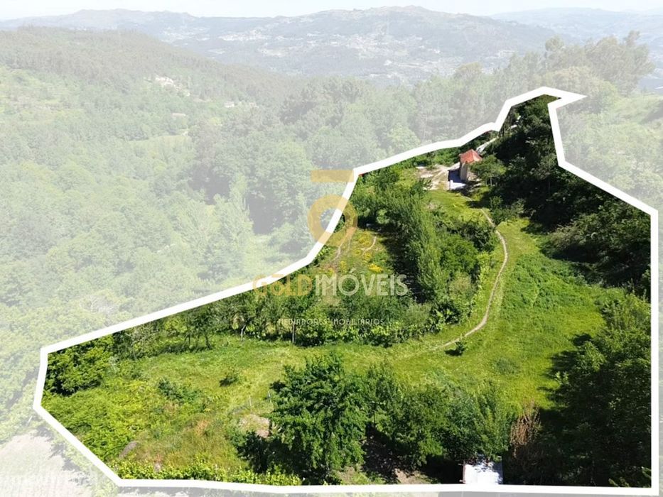 Terreno Rústico  Venda em Santiago de Piães,Cinfães — Bigorne, Magueija E Pretarouca, Viseu