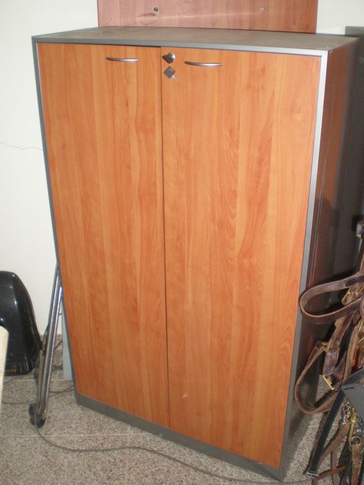 Conjunto scretaria e armario elegantes