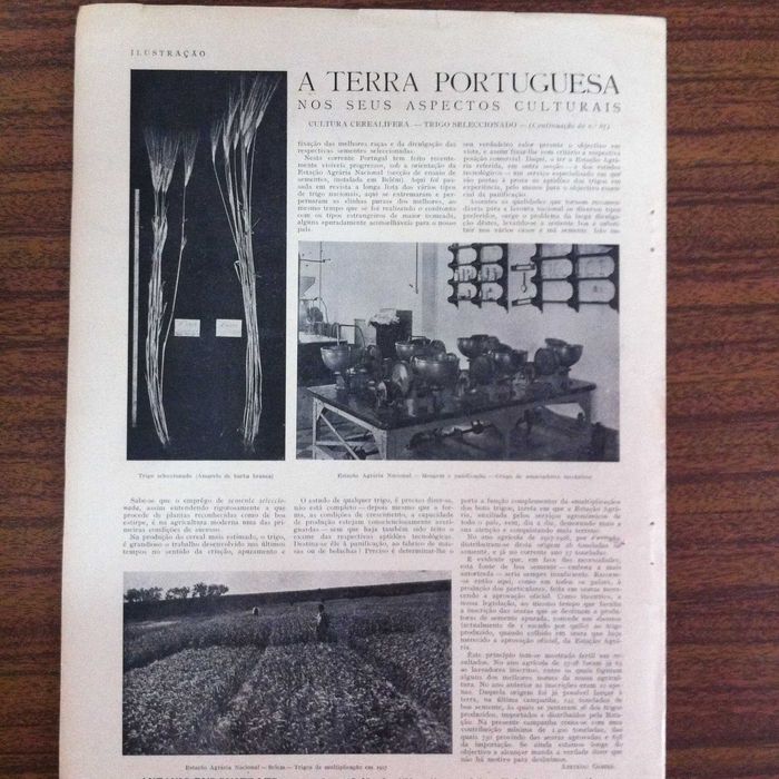 Zeppelin - 1928 - Jornal Ilustração - Fátima - Barcelos a cidade