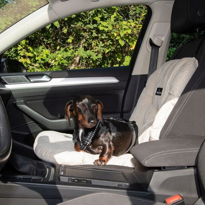Nomad Tales Blush, nakładka na fotel samochodowy dla psa
