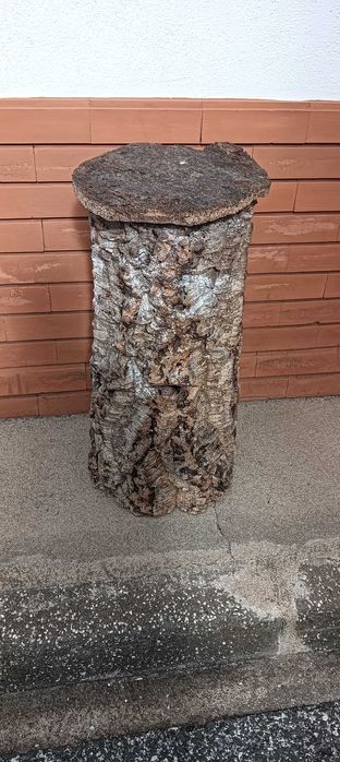 Tampo de barril em madeira