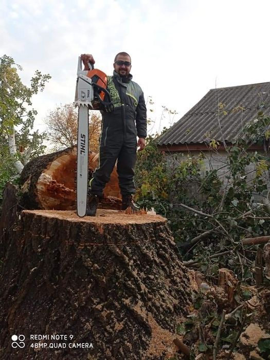 Спил аварійних дерев спиляти дерево обрізка дерев