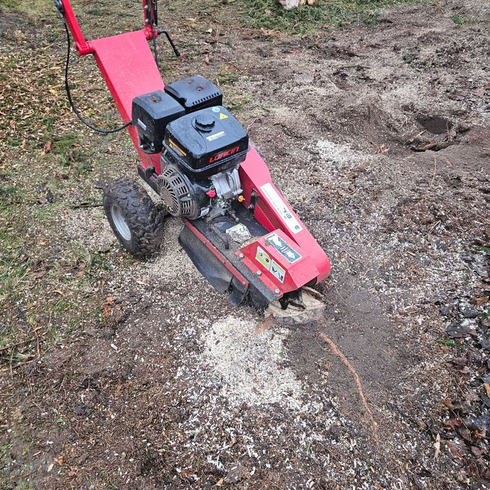 Usuwanie frezowanie pni