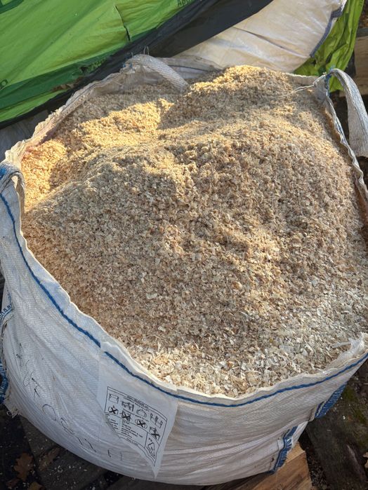 Trocina  bukowa sosnowa