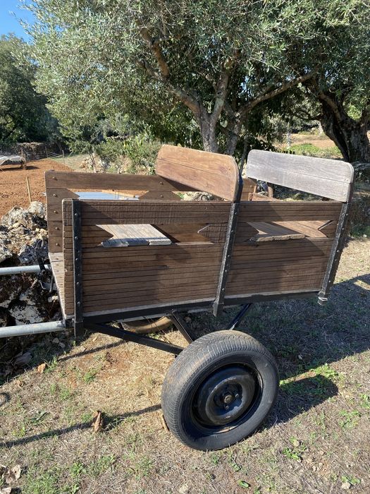 Carroça em boas condições