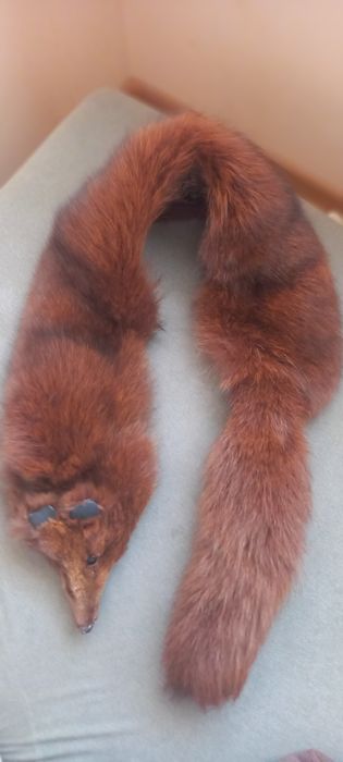 Szalik z lisa. Prawdziwy