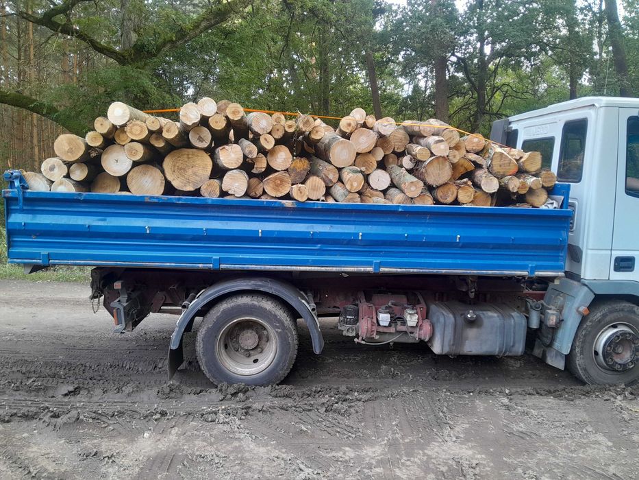 Drewno Opałowe kominkowe