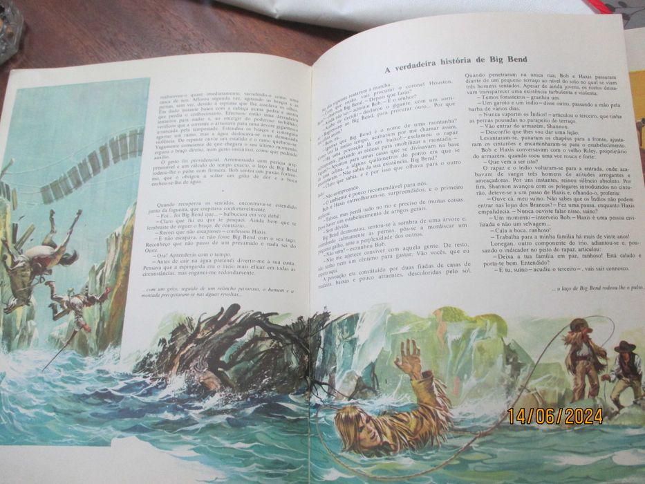 Livro - O filho de David Crockett