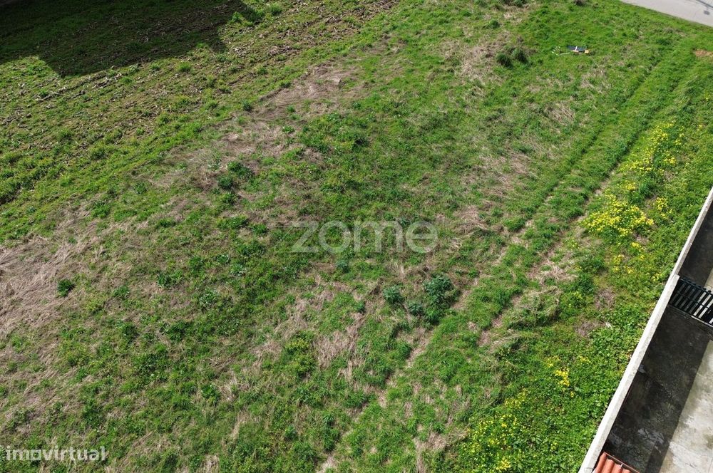Terreno para moradia isolada ou 2 moradias geminadas_1900m2_Vagos