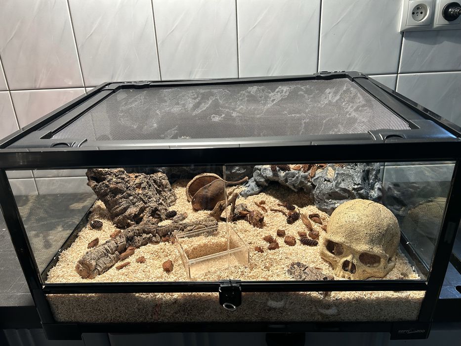 Sprzedam terrarium Repti-Zoo w komplecie ze ścianką