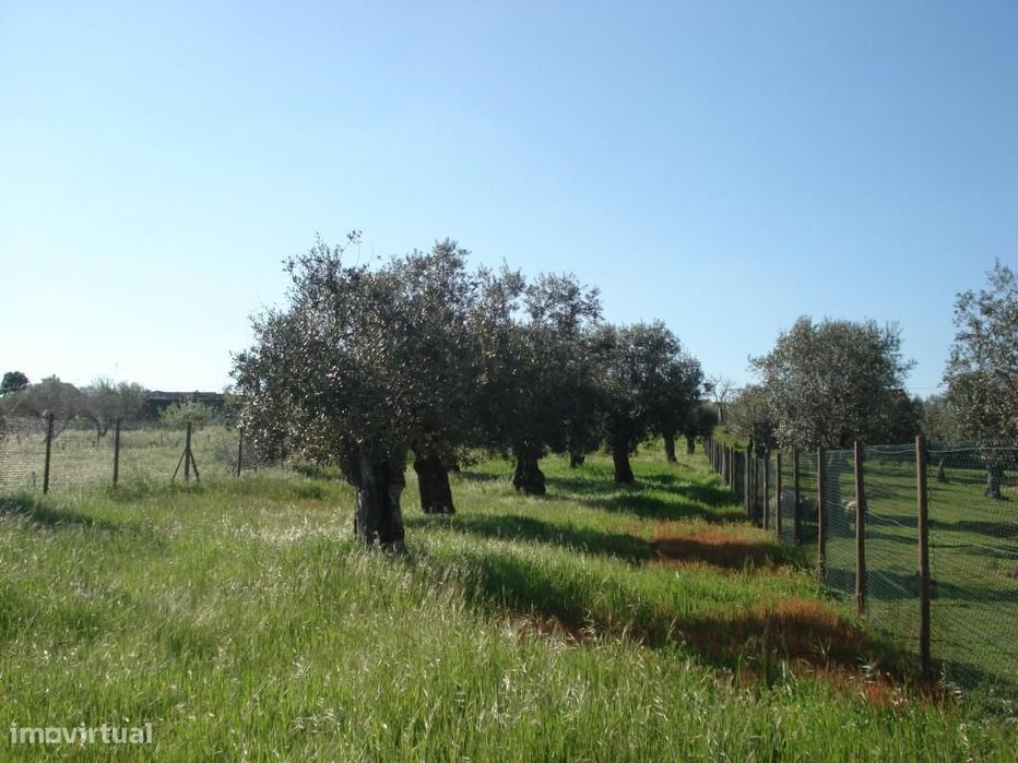 Terreno Urbano para Construção de Moradia, Zona Calma
