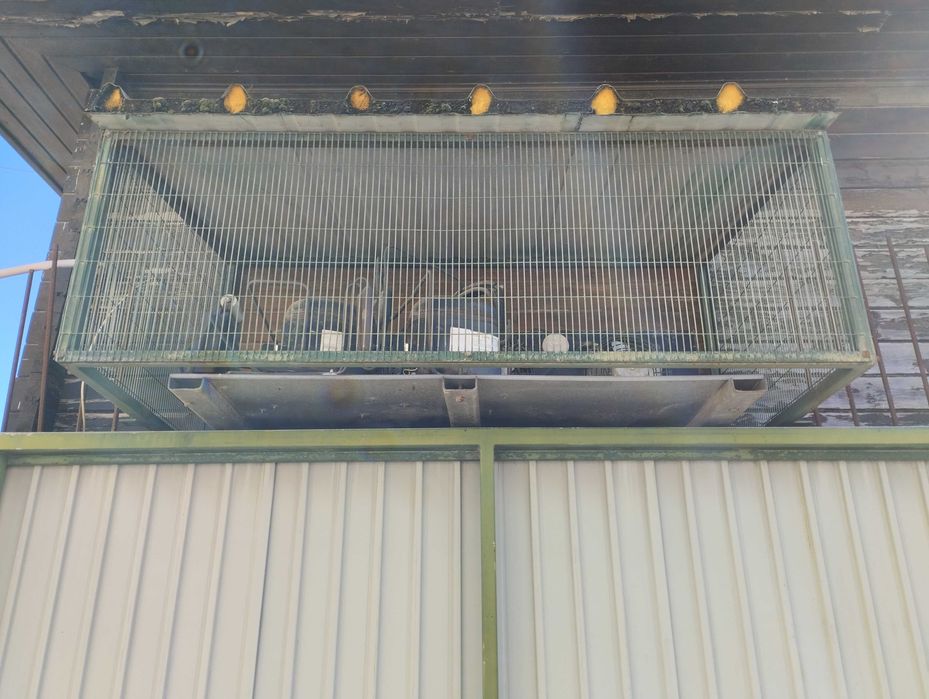 Vitrine frigorífica p minimercado