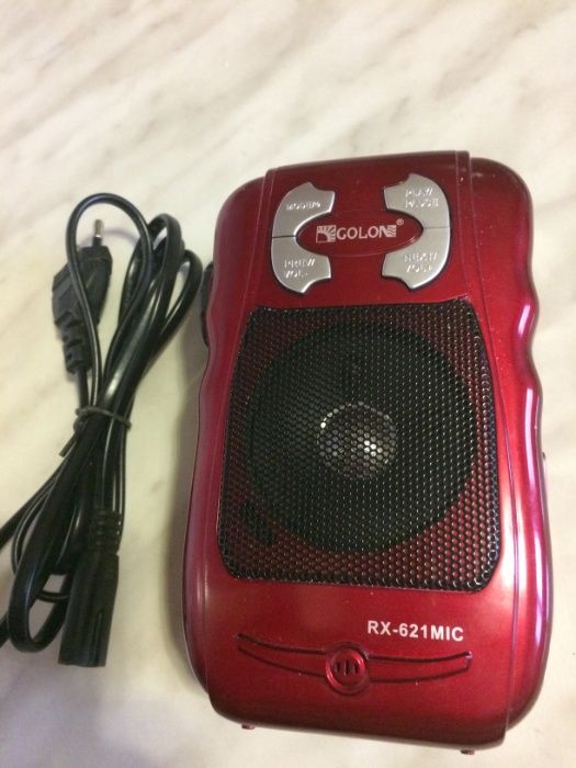 Радиочасы с приемником "Sitronics scr3002".