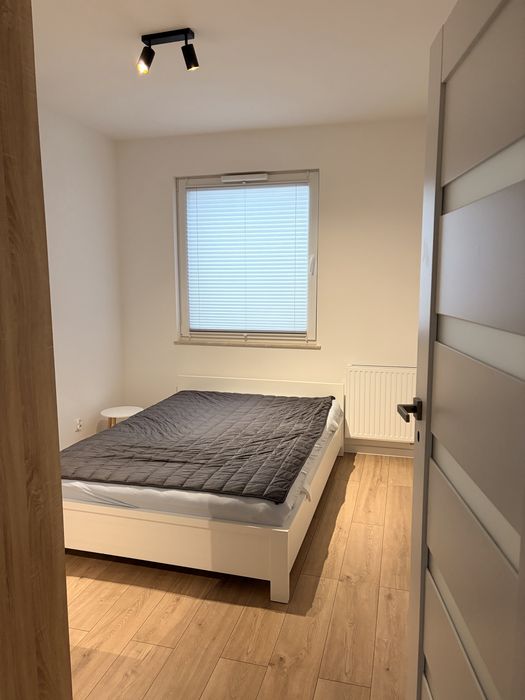 Rotmanka mieszkanie do wynajęcia 36,42 m²