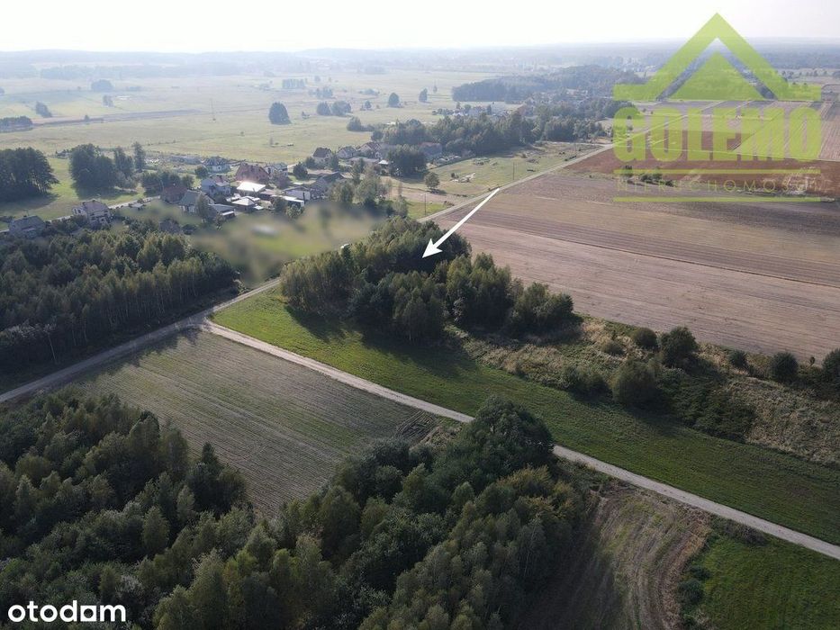 Działka / 1300m2 / Budowlano-Usługowa / Wiercica