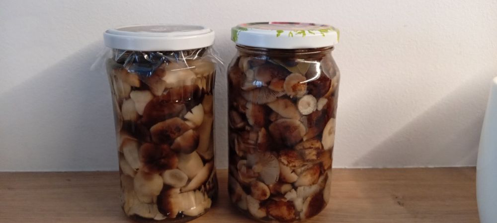 Grzyby marynowane: podgrzybki, opieńki,  maślaki, gąski