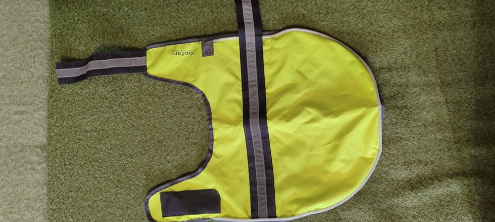 Одежда для собак