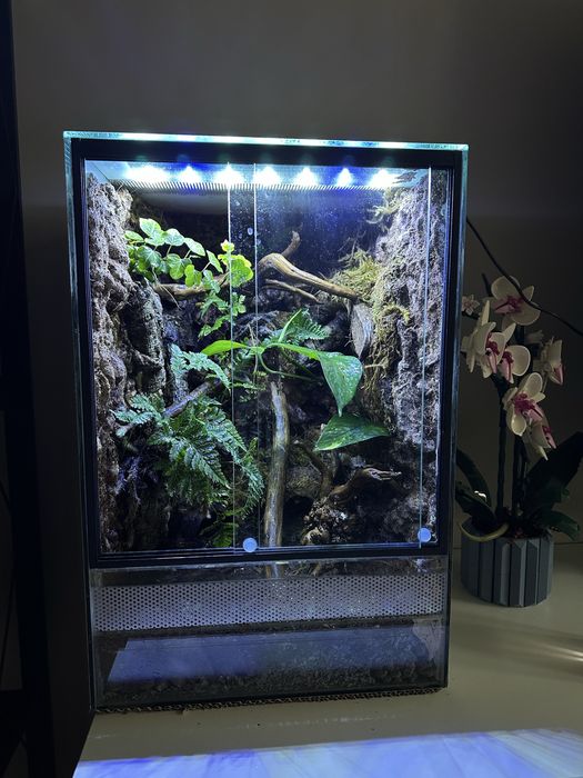 Terarrium tropikalne 30x30x45