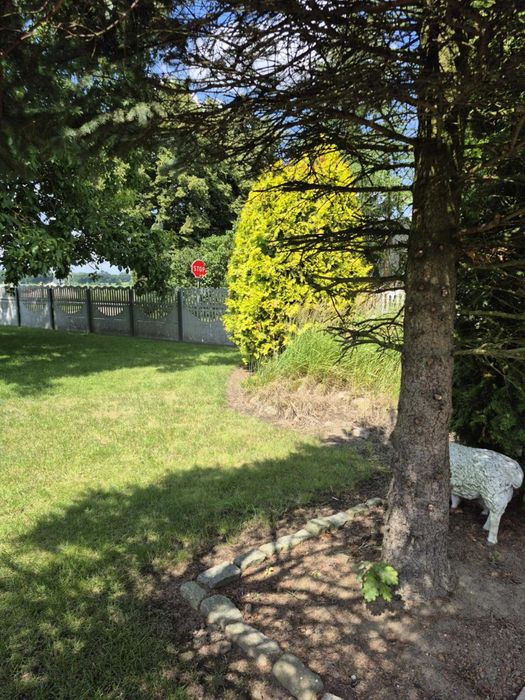 SPRZEDAM Parterowy DOM Dużo zieleni