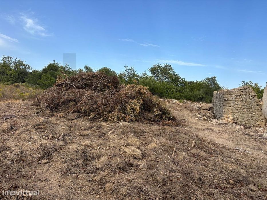 Terreno com Ruina em Charneca de São Faustino - Boliqueime - Loulé