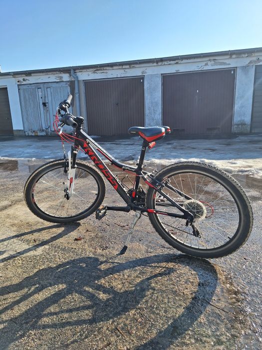 Rower 24" kross hexagon