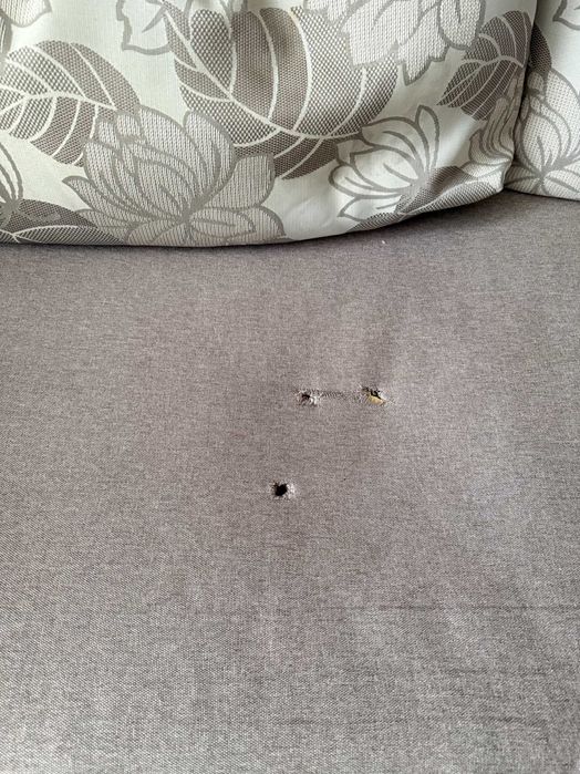 Диван Цезар Константа