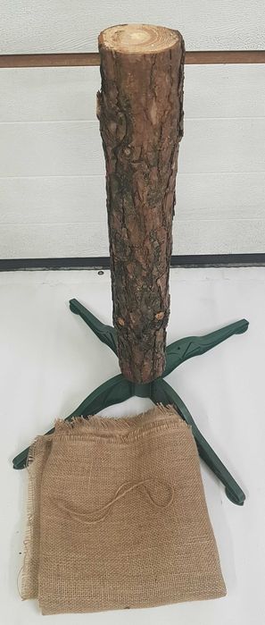 Naturalny sosnowy pień do choinki na pniu wys. 70 cm, śr. 12 cm