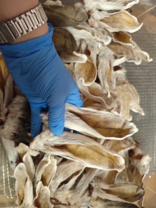 Сушені ласощі для собак та котів