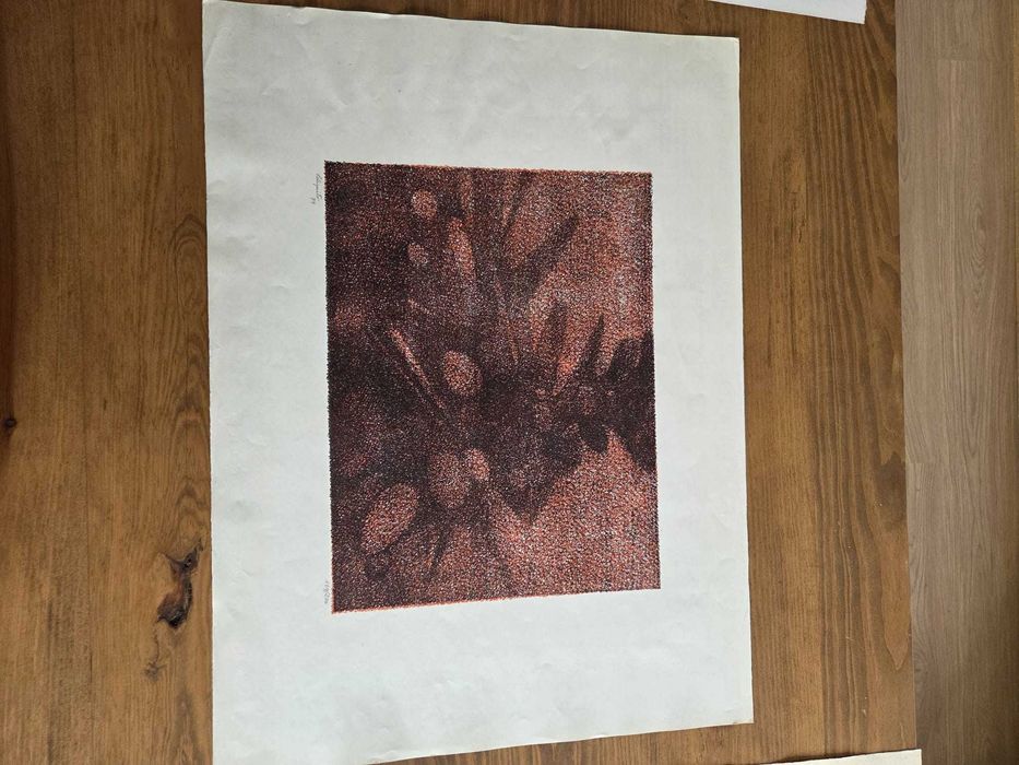 Peliquito, Serigrafia Assinada e Numerada