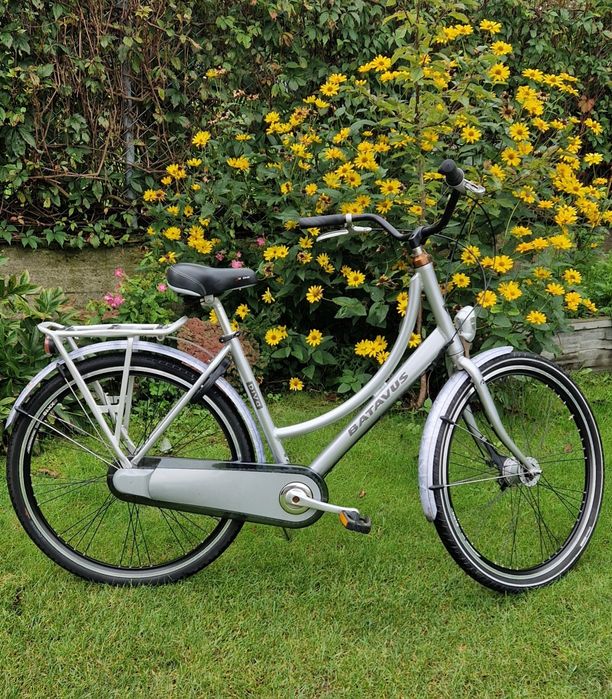 Batavus Diva D50 nexus 3