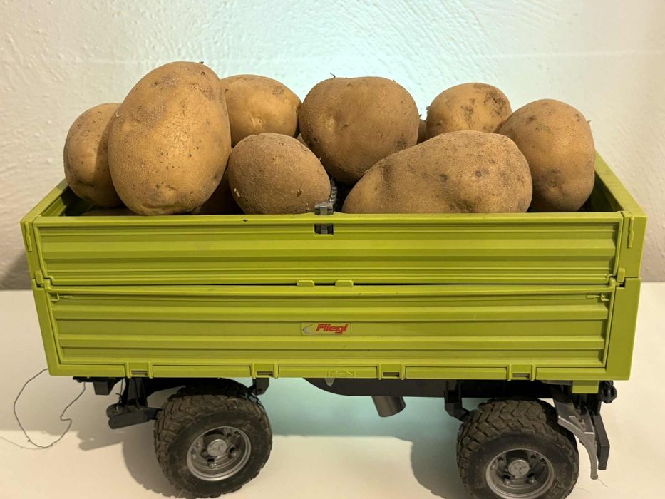 ziemniaki kartofle pyry