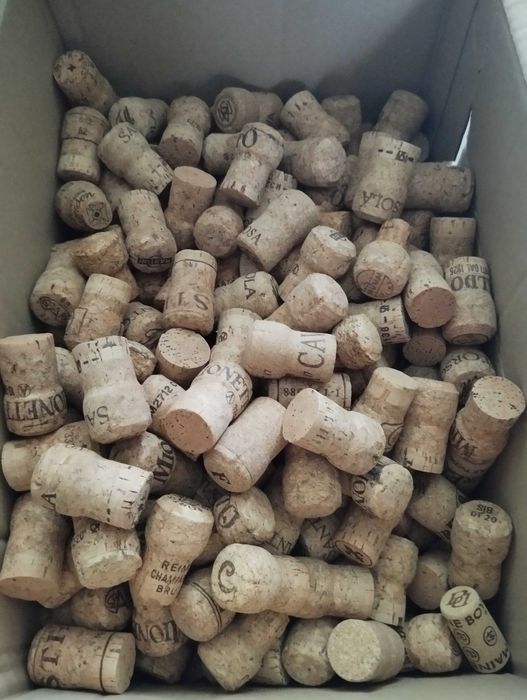 Korki od wina musującego, szampana, grzybki.