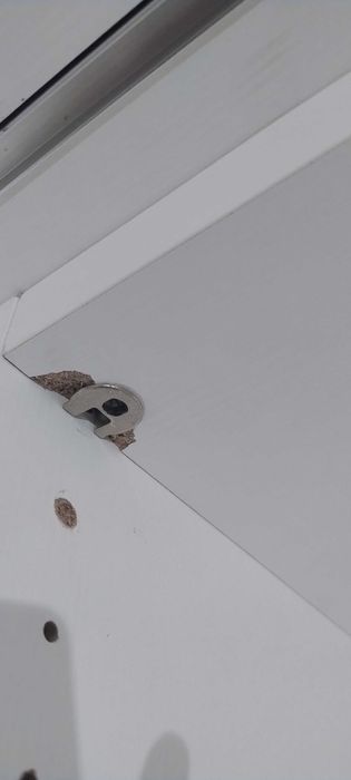 Armário com cama rebatível - Ótimo estado