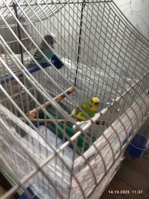 Продам клітку для папуг