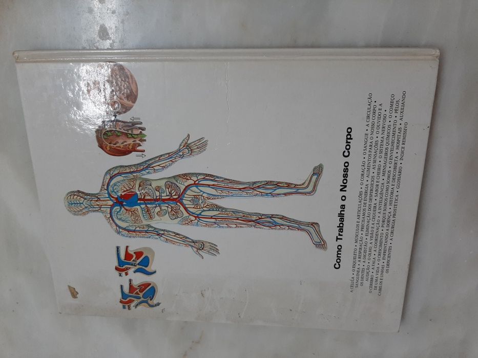 Como trabalha o nosso corpo - Ron Wilson