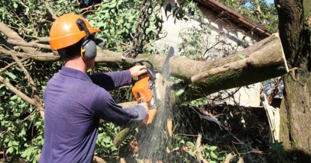 Montagem de móveis, limpeza terrenos, montagem rodapés, pintura