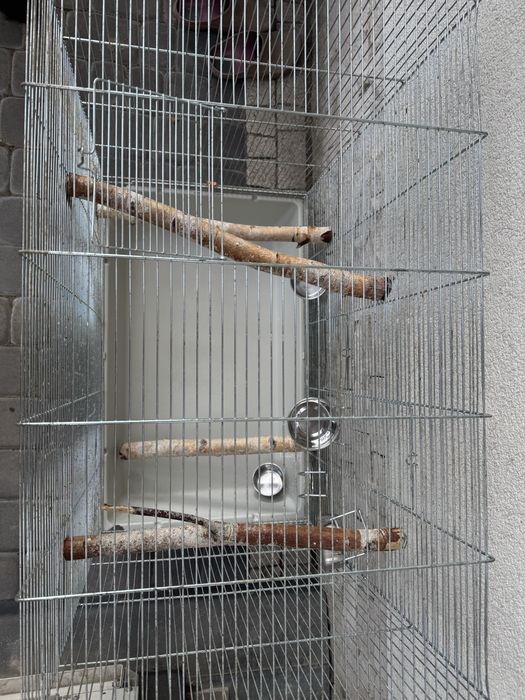Klatka  w dobrym stanie