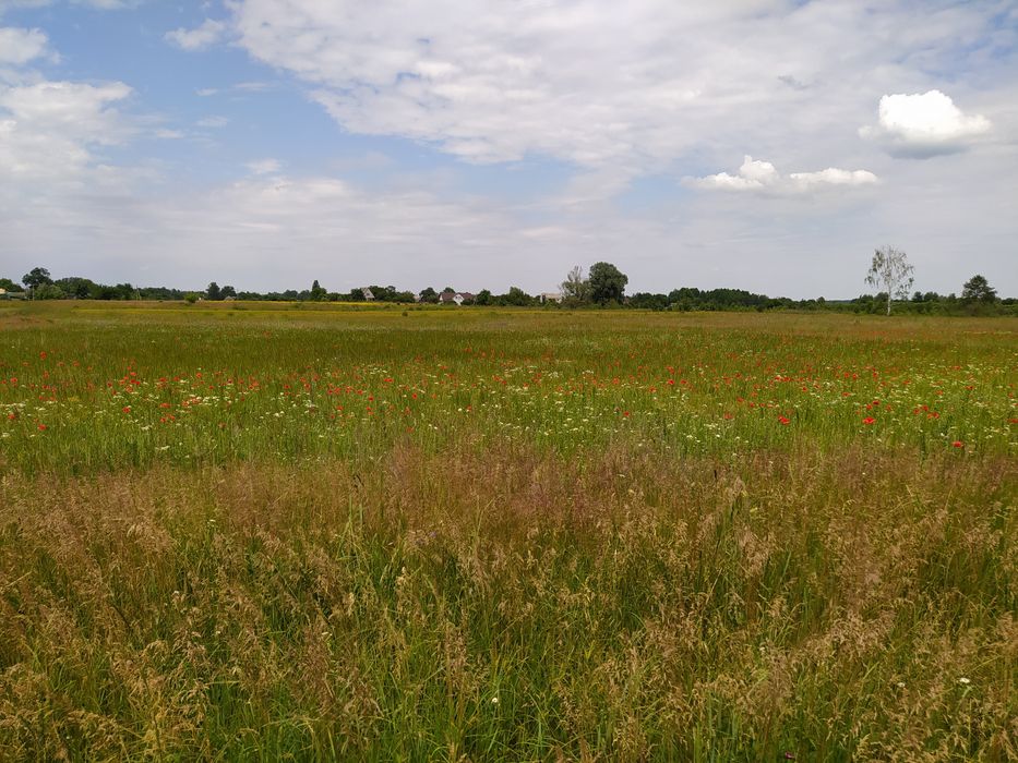 Земельна ділянка