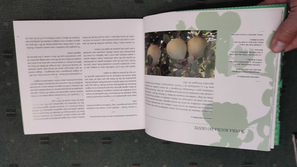 Pera Rocha do Oeste Quintas e Produção