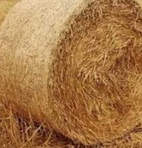 Sprzedam słomę bele