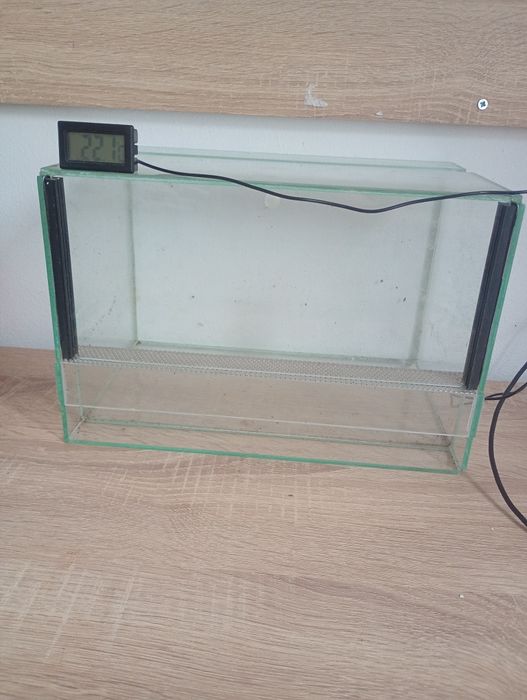Szklane terarium