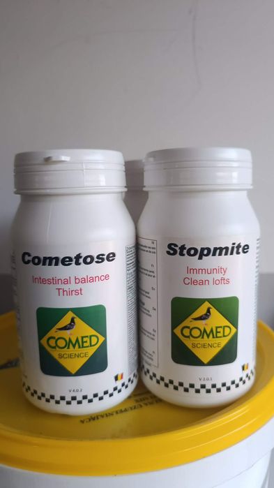 Comed cometosa i stopmite gołębie, gołąb